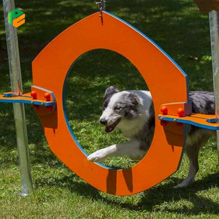 Adjustable Hoop Jump for Dog Park Activities-3