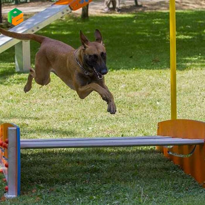 Dog Training Equipment Long Jump-3