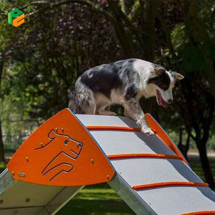Dog Training Facility A-shaped Frame for Jumping-3