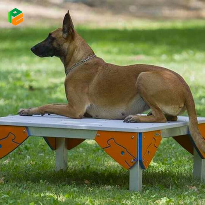 Grooming Table for Dog Training-3